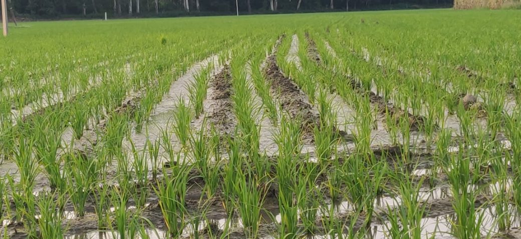 Share your experiences - farmingcosmos